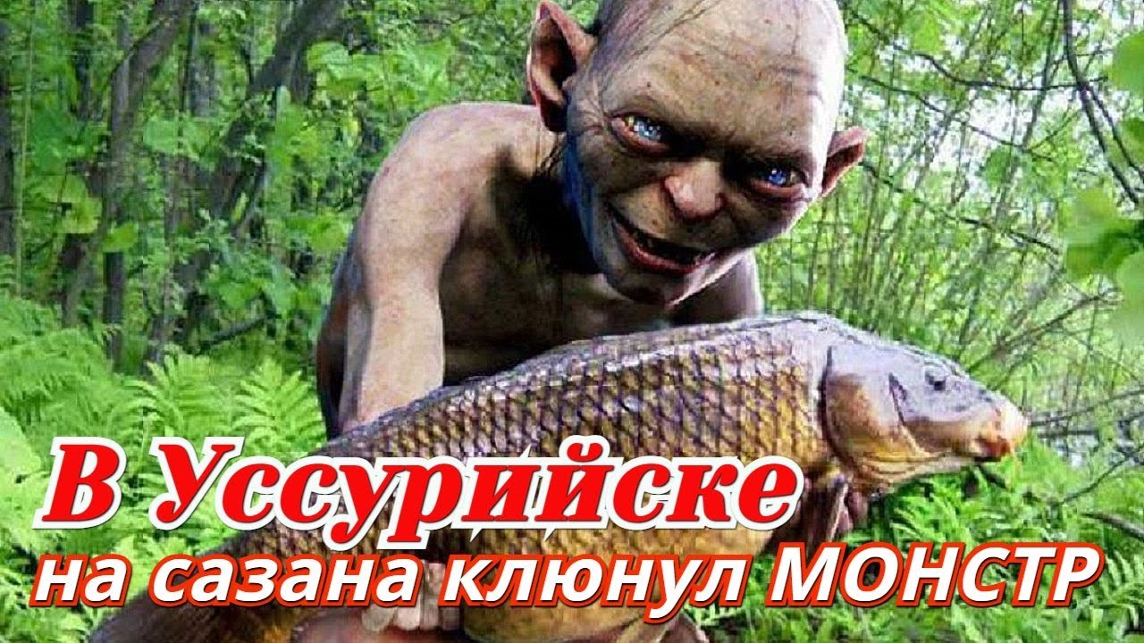 Карась смешные фото КЛЕВАЯ РЫБАЛКА В УССУРИЙСКЕ * НА САЗАНА КЛЮНУЛ МОНСТР - YouTube