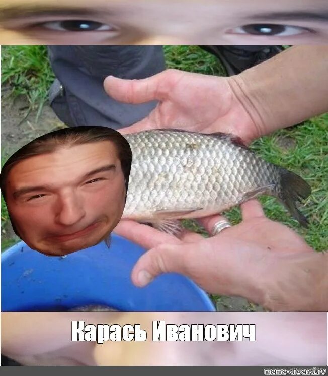 Карась смешные фото Создать мем "рыба ржака, понадусёровый швайнокарась, смешной карась" - Картинки 