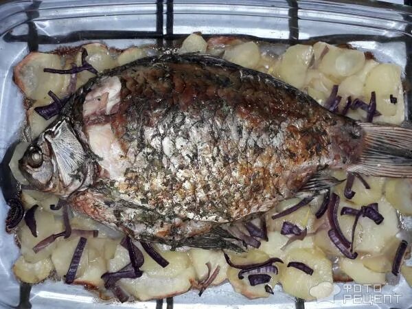 Карась запеченный в духовке фото Рецепт: Карась запеченный с картофелем в духовке