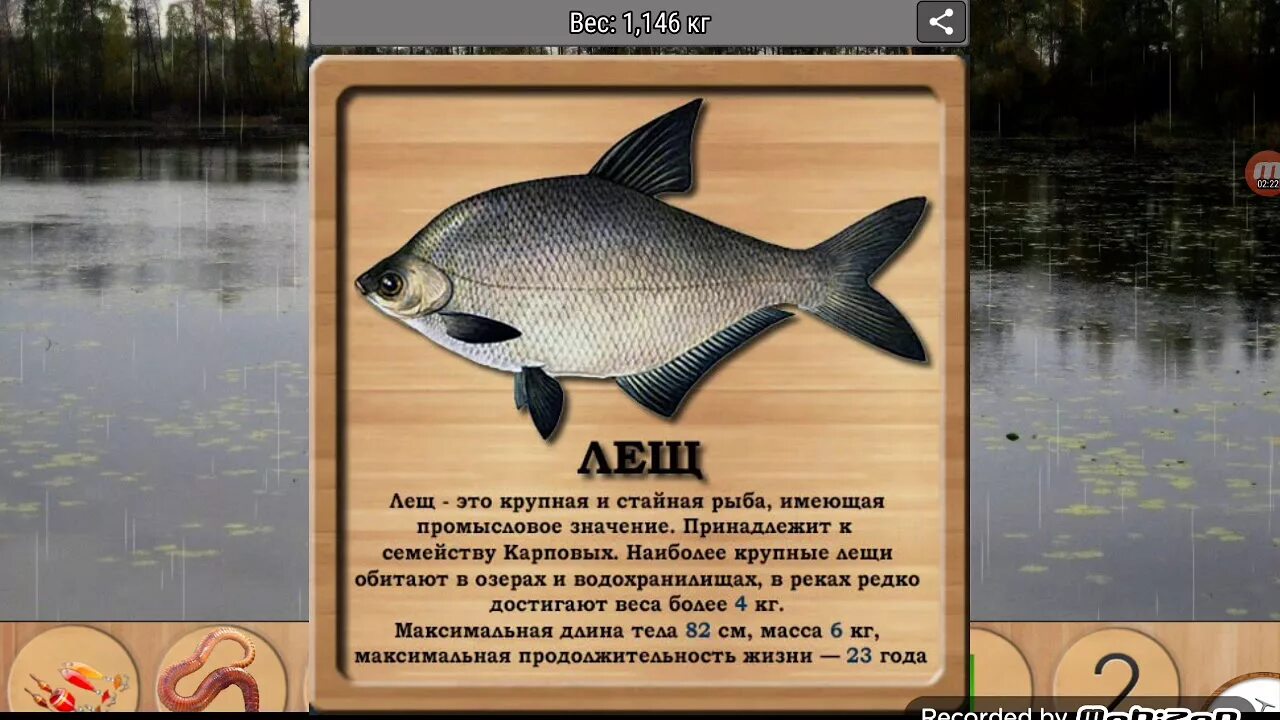 Карасевый пруд белоглазка на что ловить Прохождение игры реальная рыбалка 3 - YouTube
