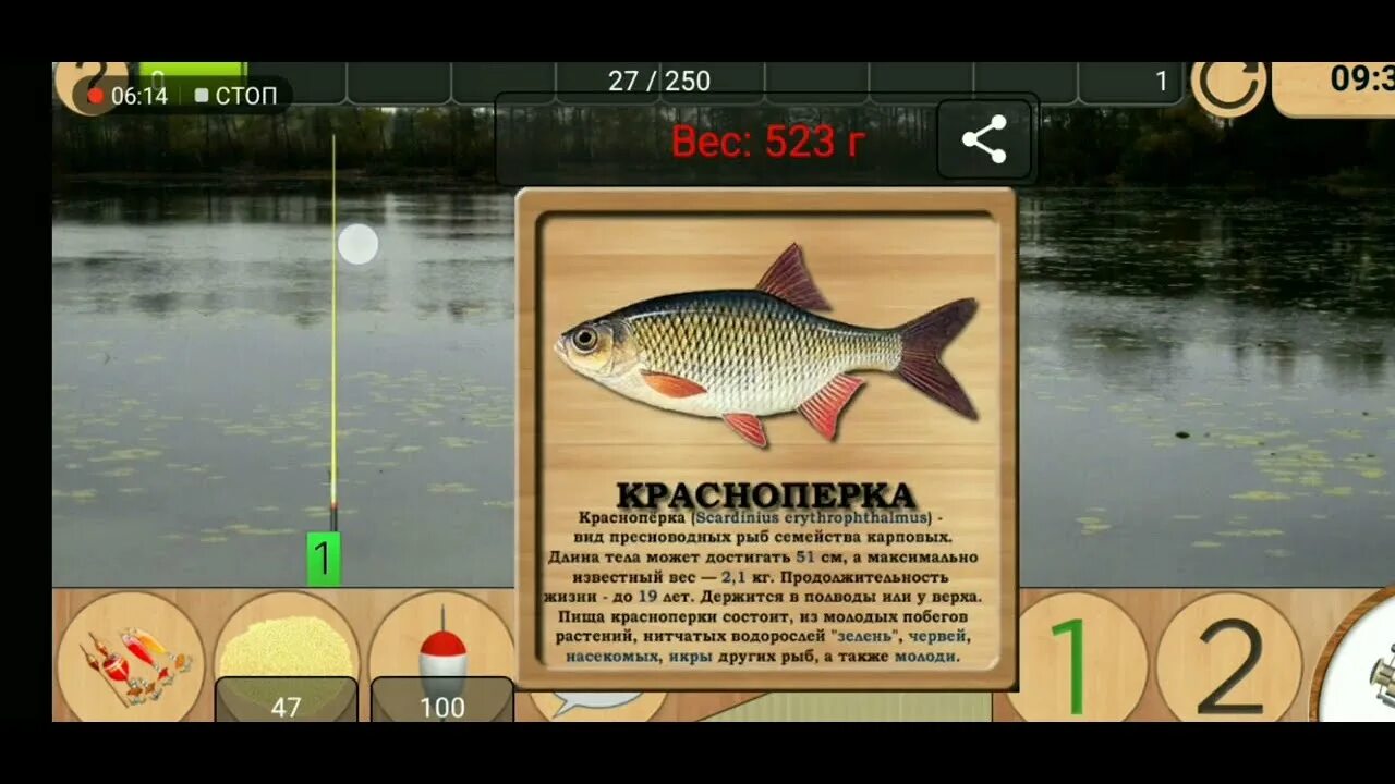Карасевый пруд на что ловить елец Реальная рыбалка - #1 карасёвый пруд обзор - YouTube