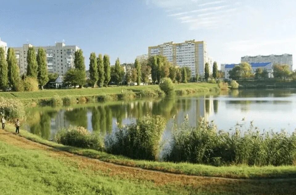 Карасунские озера в краснодаре фото В Краснодаре создадут службу по содержанию и эксплуатации гидротехнических соору