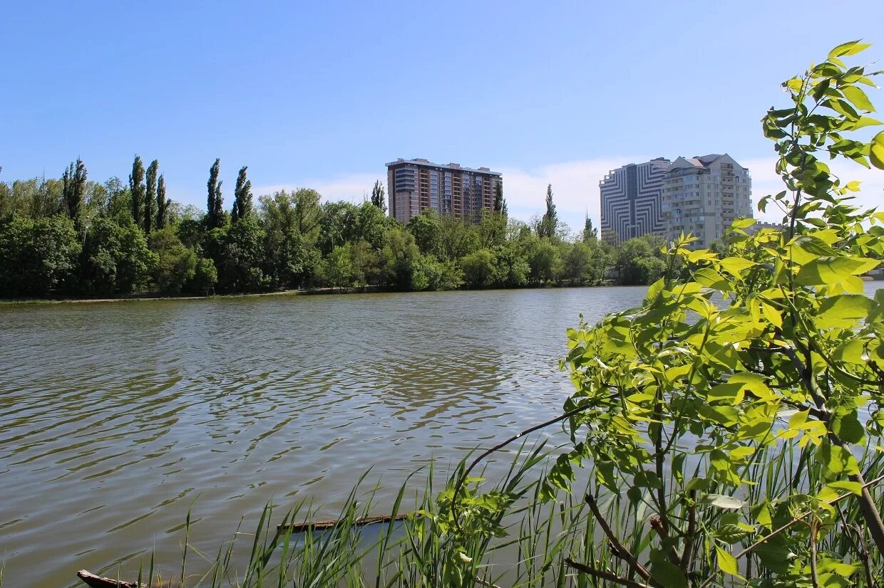 Карасунские озера в краснодаре фото Где отдохнуть в выходные в Краснодаре: Карасунские озера - прекрасное место для 