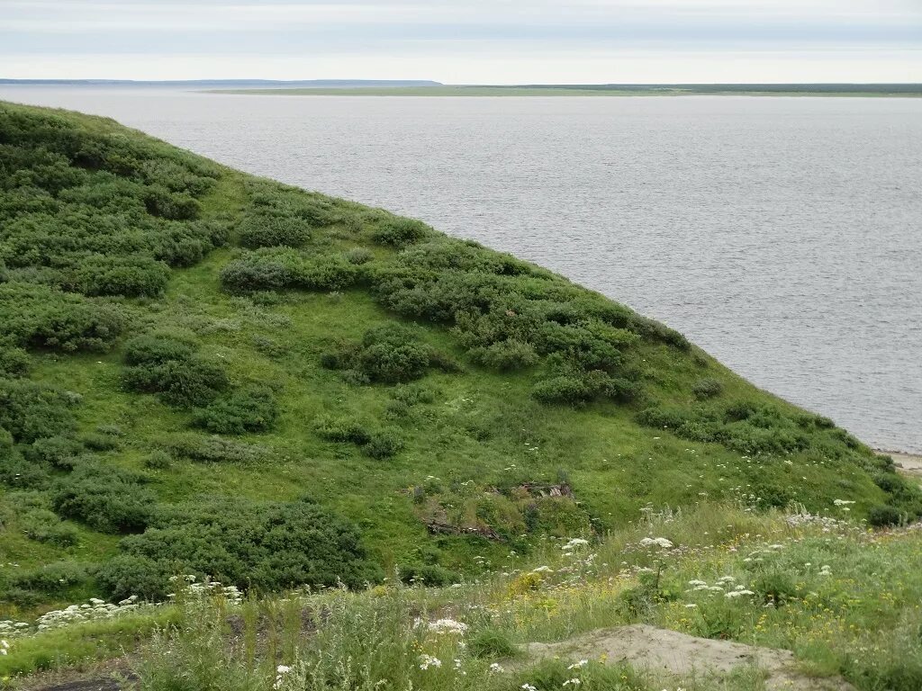 Караул красноярский край фото Таймыр п. Караул :: Фотогалерея :: Полония