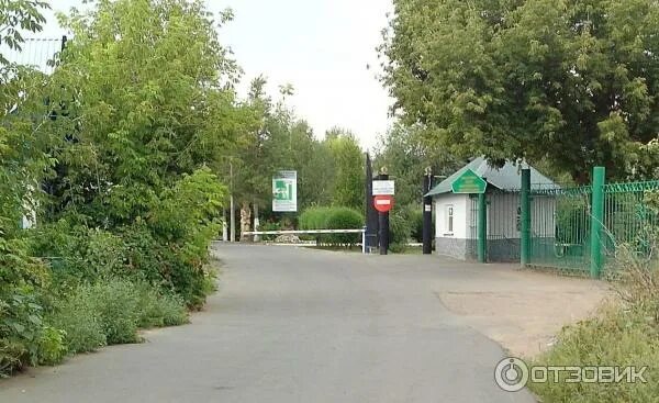 Караваева роща оренбург фото Отзыв о Областной центр медицинской реабилитации (Россия, Оренбург) Каждая больн