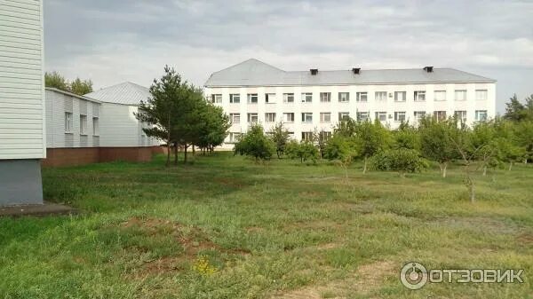 Караваева роща оренбург фото Отзыв о Областной центр медицинской реабилитации (Россия, Оренбург) Каждая больн