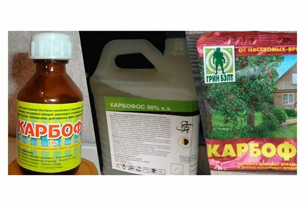 Карбофос от клопов фото Карбофос для обработки деревьев и кустарников весной: найдено 87 изображений