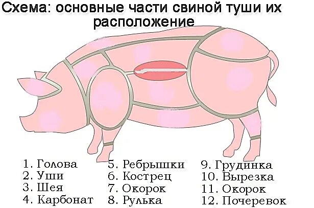 Карбонат какая часть свинины фото Окорок свиной какая часть туши - CoffeePapa.ru