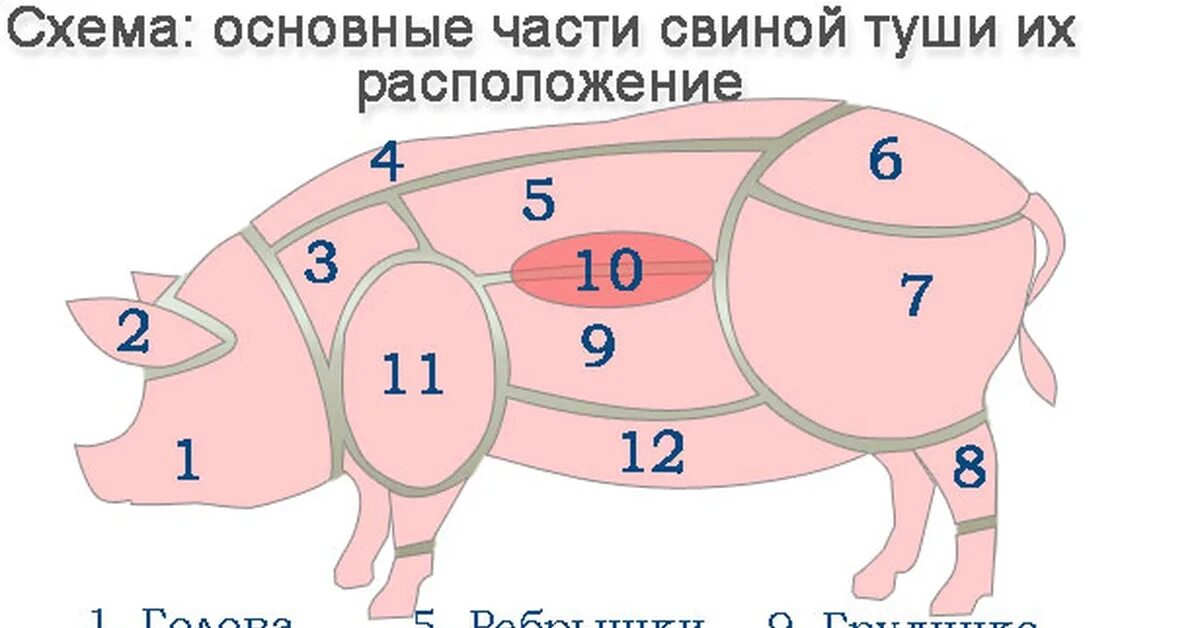 Карбонат какая часть свинины фото Подчерёвок, пашина, подчревье, подбрюшье, покромка - это что? Пикабу
