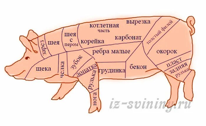Карбонат какая часть свинины фото Ответы Mail.ru: Калинары, что вкуснее у свинюшки, щека, чёлка, зубок, зарез, лоп