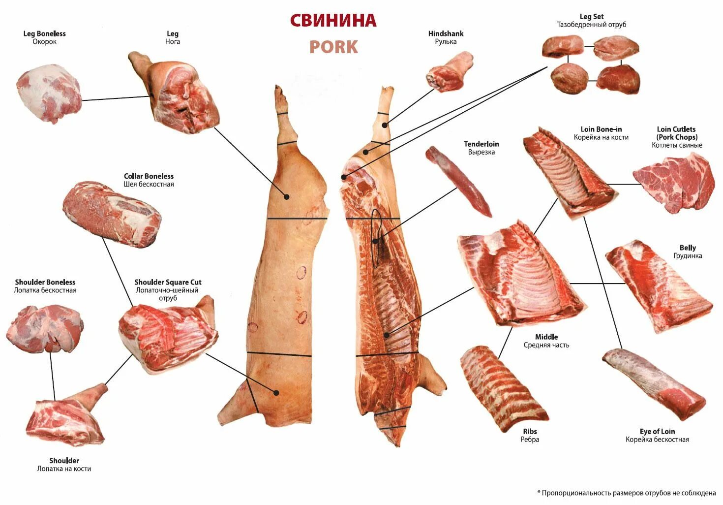 Карбонат какая часть свинины фото Схема разруба свинины Свинина, Мясо, Свиной шашлык