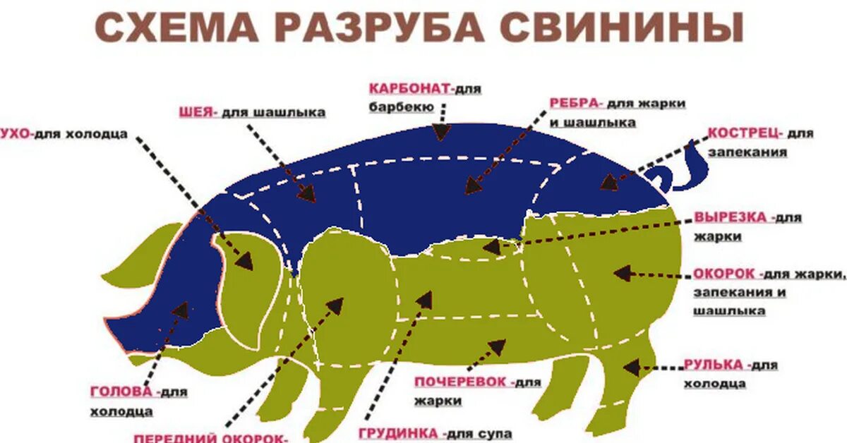 Карбонат какая часть свинины фото Схема разруба свинины Пикабу
