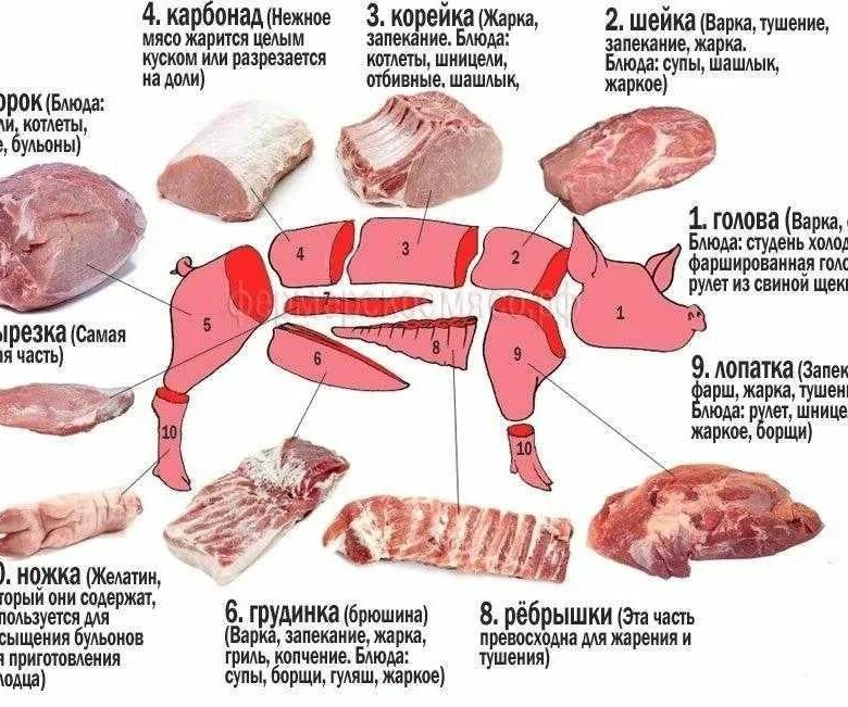 Карбонат какая часть свинины фото Домашняя свинина - купить в Васюринской, цена 220 руб., продано 12 февраля 2020 