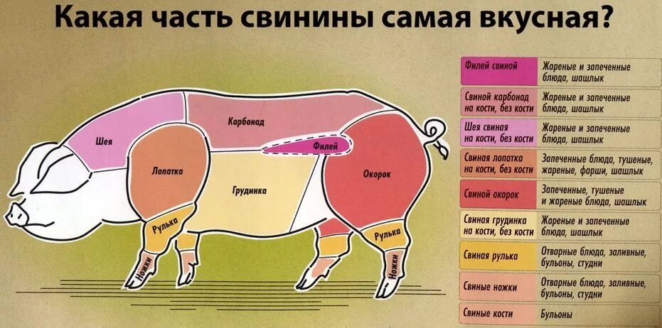 Карбонат какая часть свинины фото свинина, части мяса Album, Fashion sewing, Family guy