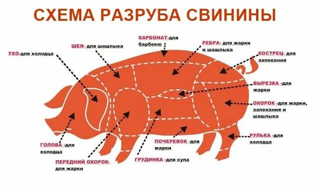 Карбонат какая часть свинины фото Все про мясо: Кострец свиной