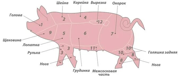 Карбонат какая часть свинины фото Полтуши Лучшее вкусное мясо тут. Свинина