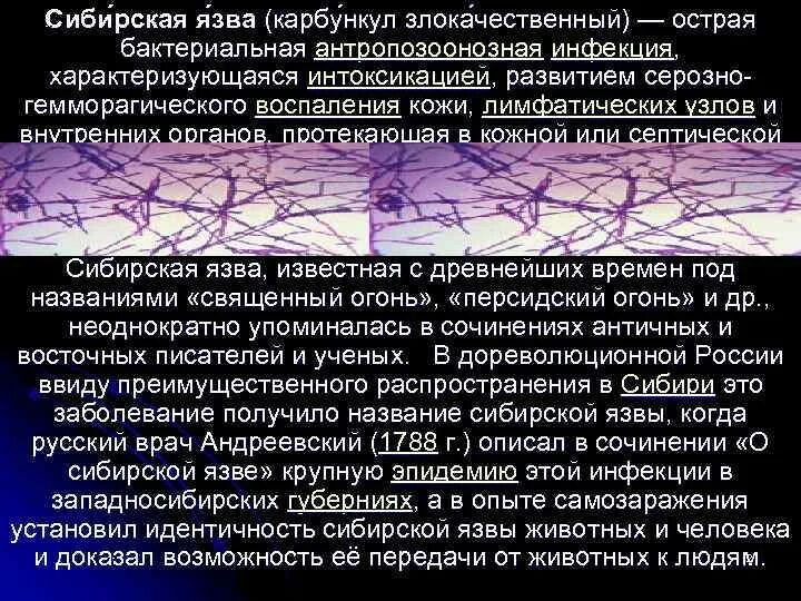 Карбункул при сибирской язве фото Сибиреязвенный карбункул фото - ViktoriaFoto.ru