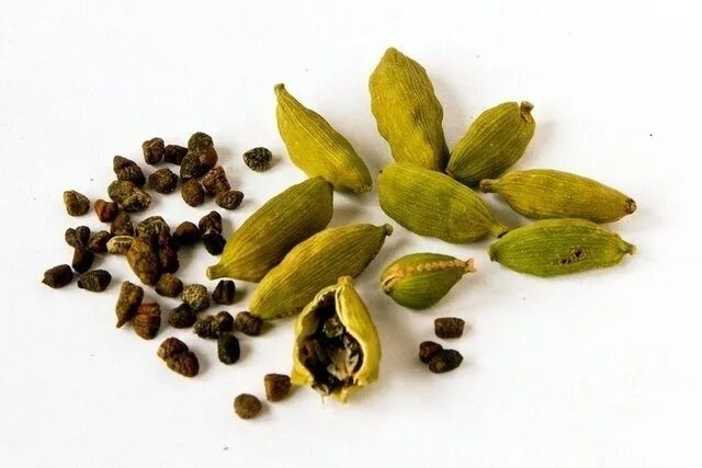 Кардамон растение фото как выглядит India Ekspor Biji Cardamom Hijau Organik Mesin Sortex Tebal Sekam Bubuk Utuh Ber