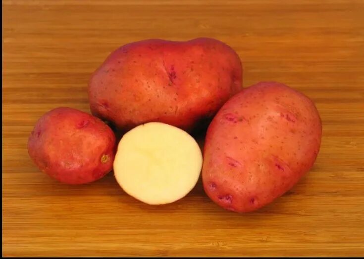 Кардинал картофель описание сорта фото Red Potatoes "There are more than 5,000 varieties of potatoes on the planet, and