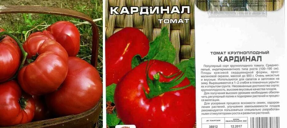 Кардинал описание сорта фото отзывы ТОП-65 лучших сорта томатов на 2023 год с фото и описанием
