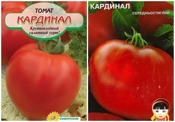 Кардинал помидоры описание фото Томат Кардинал: описание сорта, характеристика