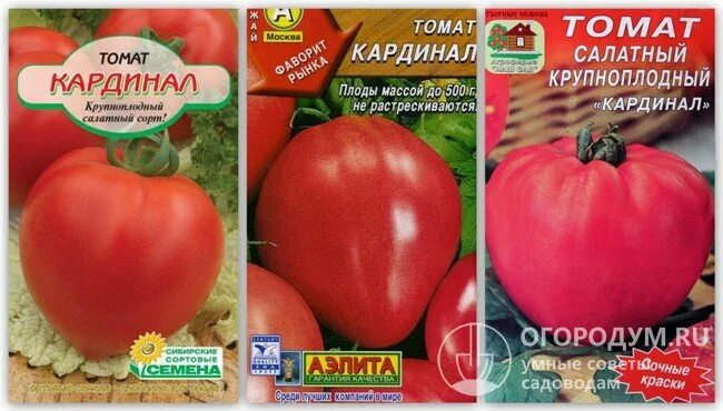 Кардинал томат описание и фото отзывы Помидоры сорта кардинал отзывы