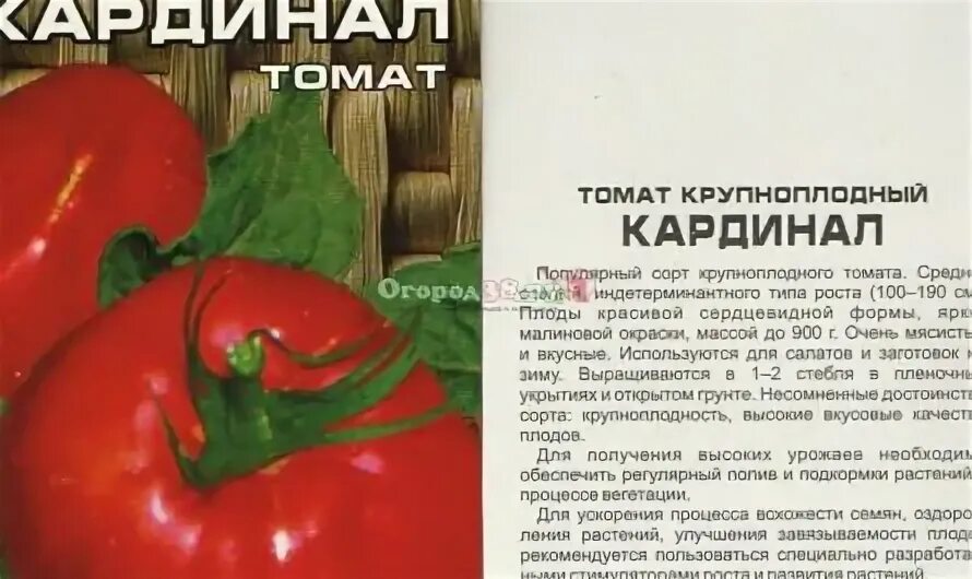 Кардинал томат описание и фото отзывы Томат Кардинал: Подборка лучших изображений Эко-фокус Фотогалерея природы на dia