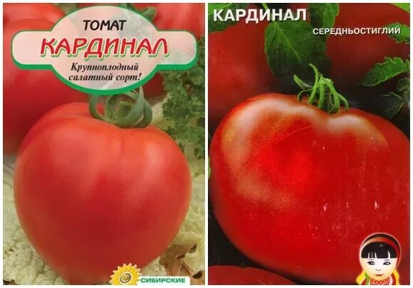 Кардинал томат описание и фото отзывы ✅ Tomato Cardinal: characteristics and description of the variety, yield with ph