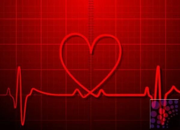 Кардиограмма сердца фото человека Arrhythmia Specialist in Ras Al Khaimah in 2019 İnsan