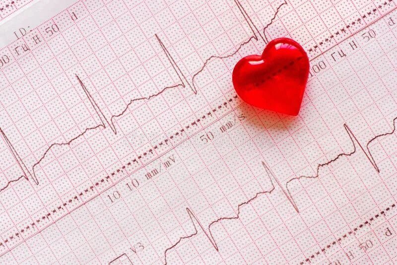 Кардиограмма сердца фото человека Plastic Heart on the Background of the Electrocardiogram ECG. Stock Photo - Imag