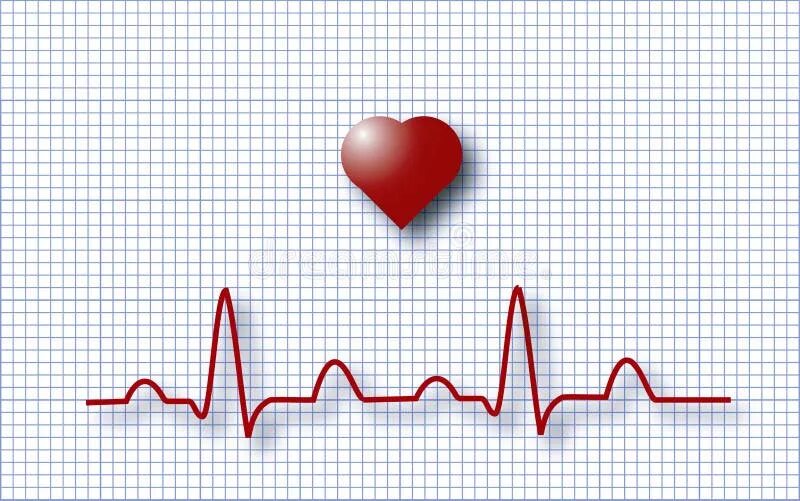 Кардиограмма сердца фото человека ECG EKG stock illustration. Illustration of electrocardiogram - 127959