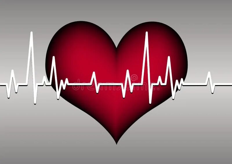 Кардиограмма сердца женщина фото Heart and cardiogram stock vector. Illustration of death - 16137793