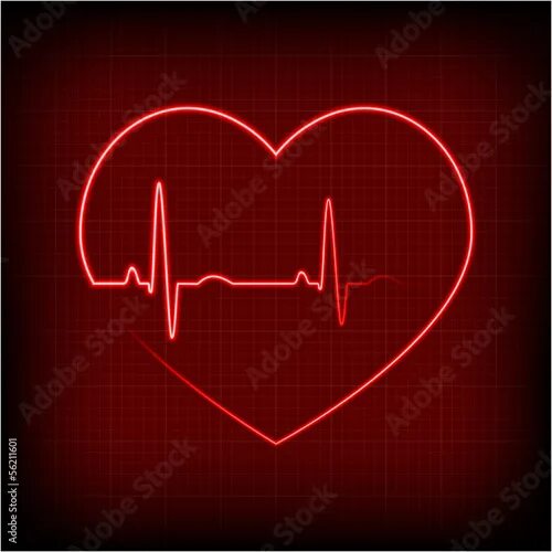 Кардиограмма сердца женщина фото heart on a cardiogram Векторный объект Stock Adobe Stock