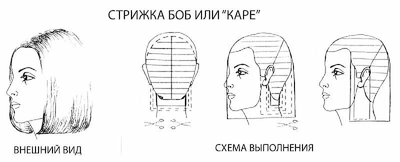 Каре с челкой схема стрижки схемы стрижек для начинающих парикмахеров с описанием и фото: 12 тыс изображений