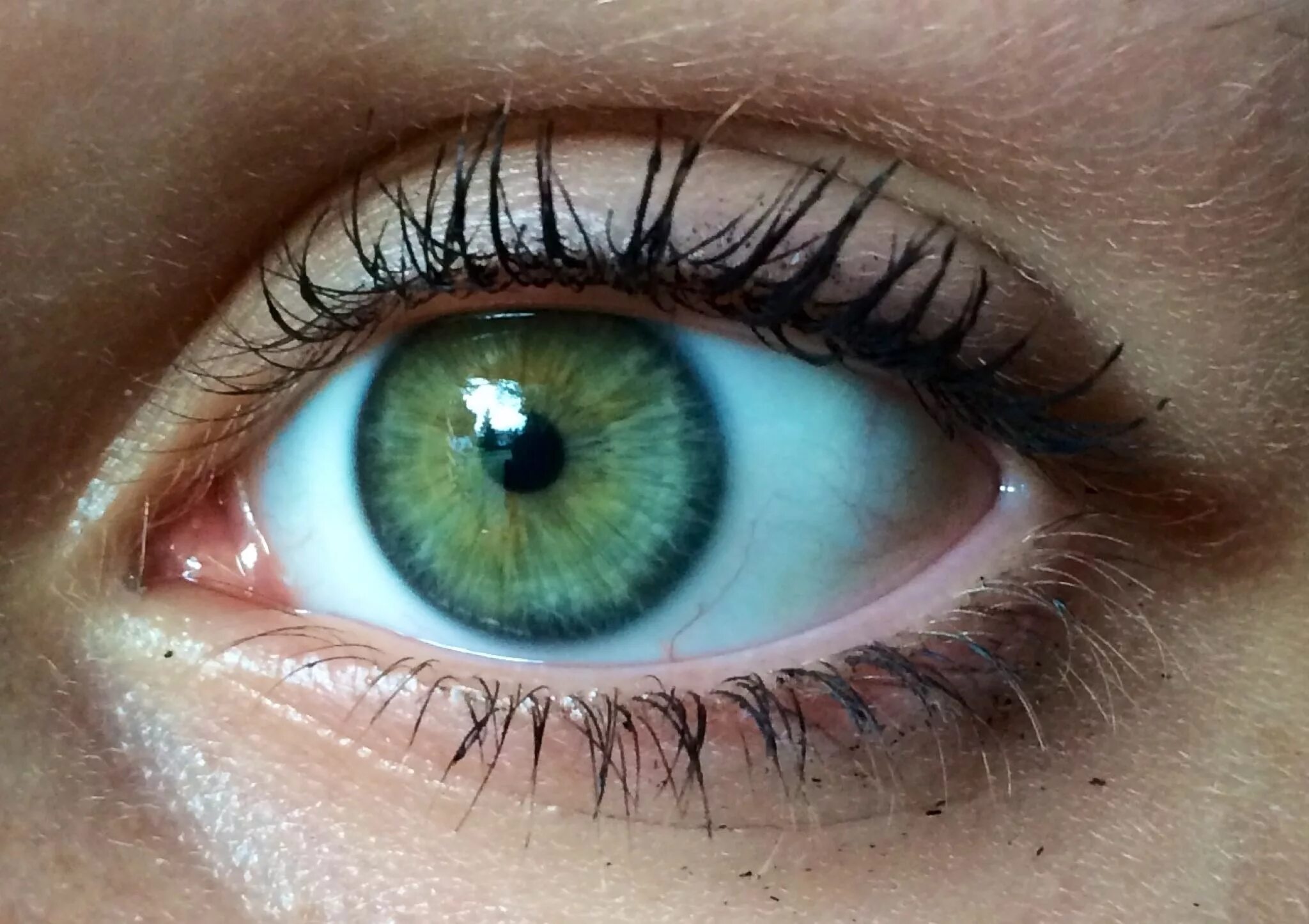 Каре зелено серые глаза фото Eye ref Blue green eyes, Dark green eyes, Blue eyes aesthetic