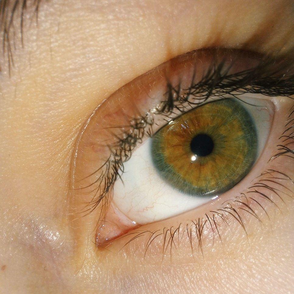 Каре зеленые фото In your eyes Цвет глаз, Глаза, Коричневые глаза