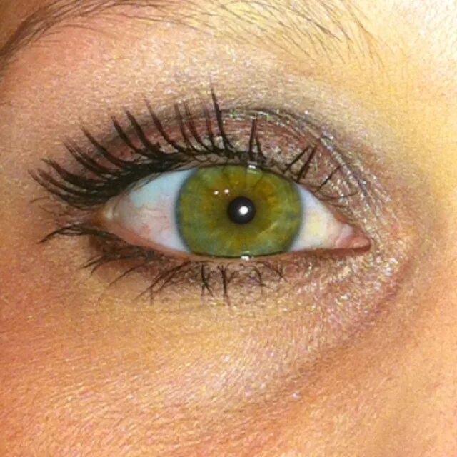 Каре зеленые фото Only about 2% of the world has GREEN EYES 3 I didn't realize I was so rare:) Bea