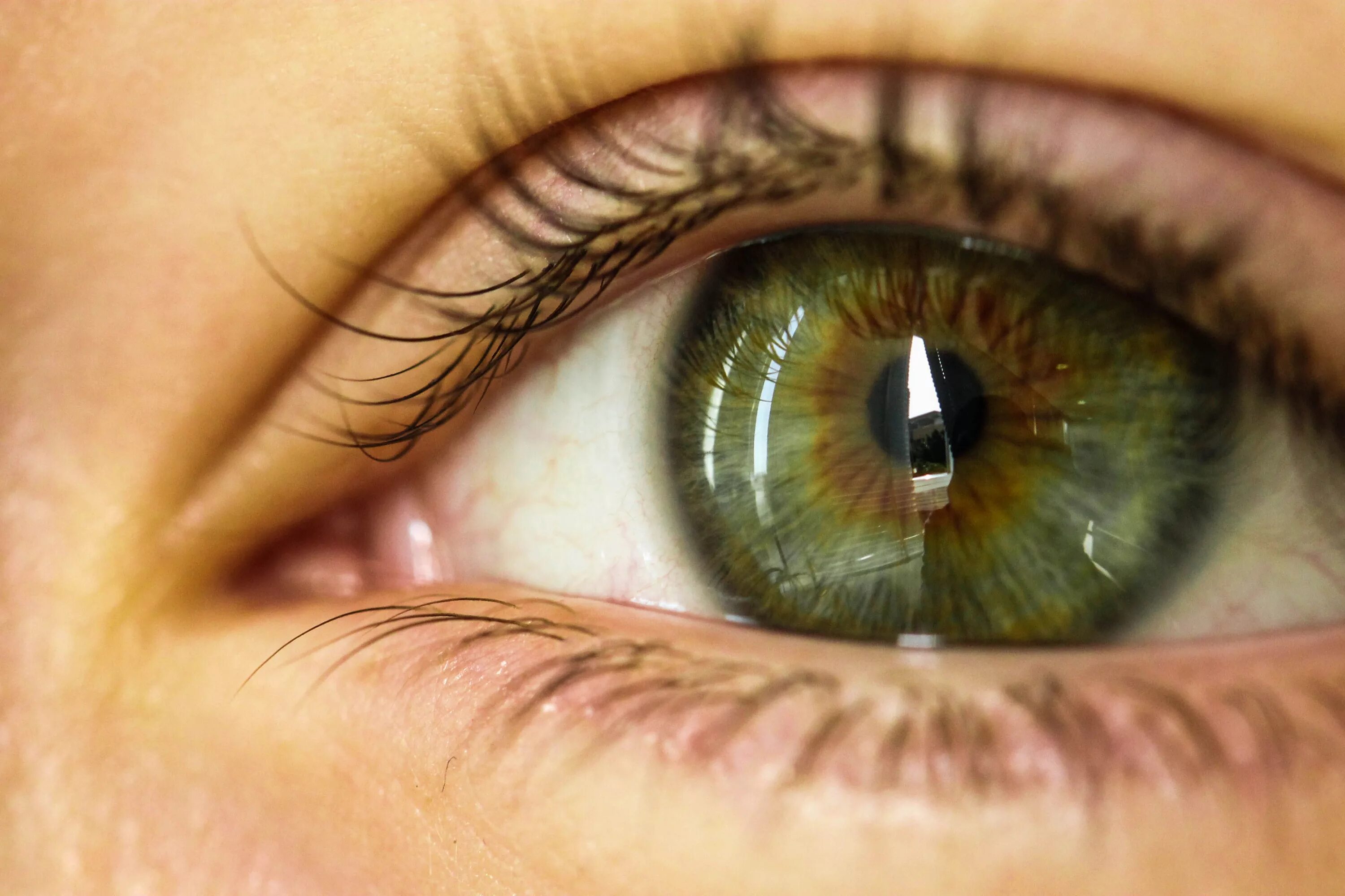 Каре зеленые глаза фото According to Superstition, Green eyes = hardy souls. Aesthetic eyes, Green eyes,