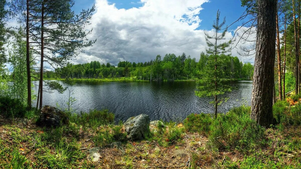 Карелия фото природы летом Онлайн пазл "Карелия"