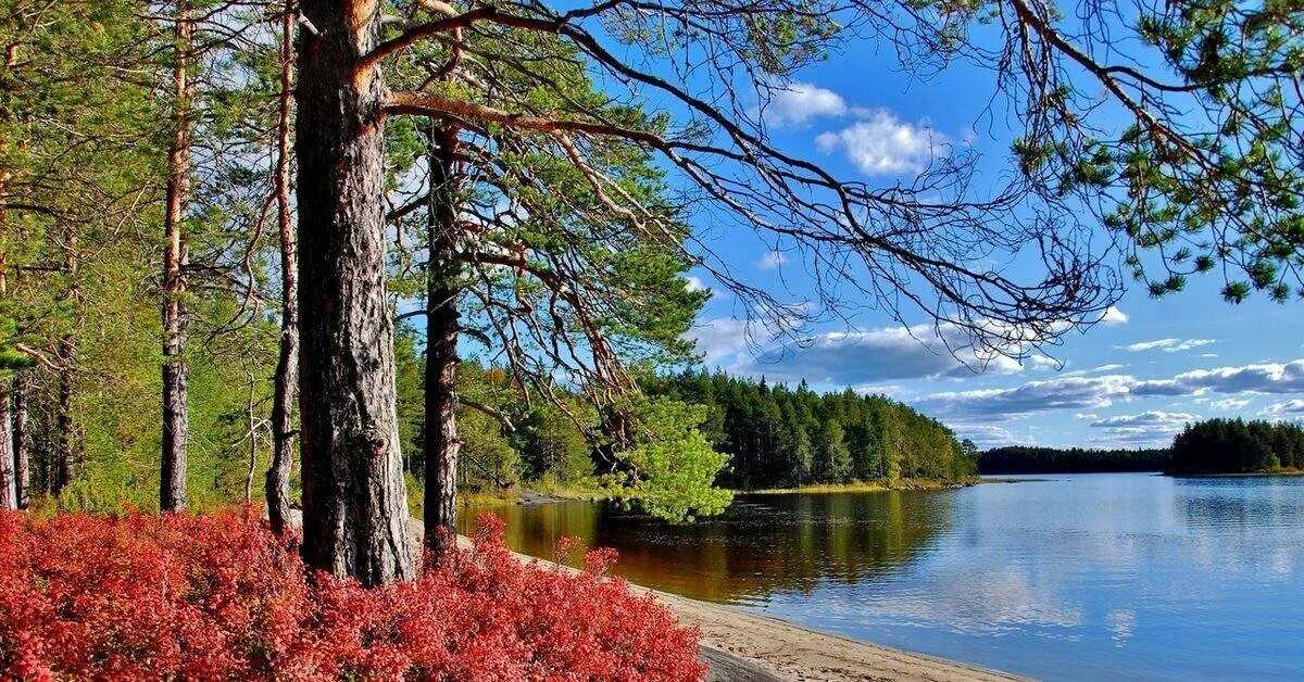 Карелия фото природы летом Рыбалка в Карелии, система озер Куйто. AKARA FISHING Дзен