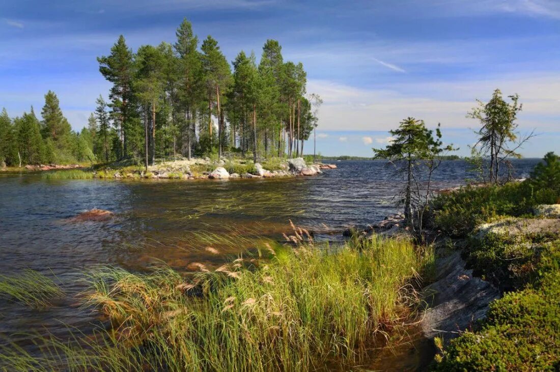 Карелия фото природы летом Где найти хорошие места для летнего отпуска в Карелии.