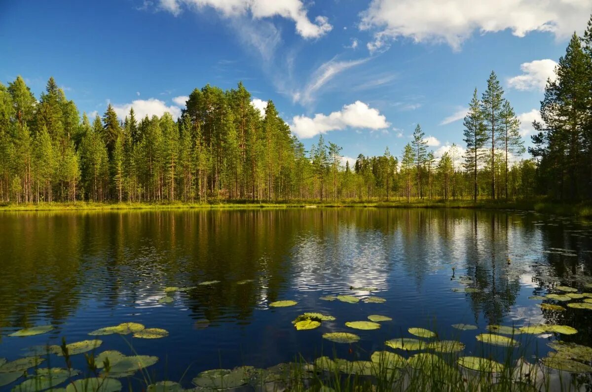 Карелия фото природы летом Карелия летом - блог Санатории Кавказа
