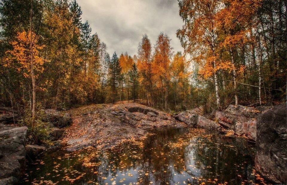 Карелия фото природы осень Шумят вербы. - стихотворение поэта