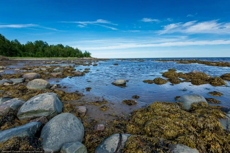 Карелия море фото 10 туристов из Петербурга, среди которых ребенок, пропали на Белом море - ИА Сев