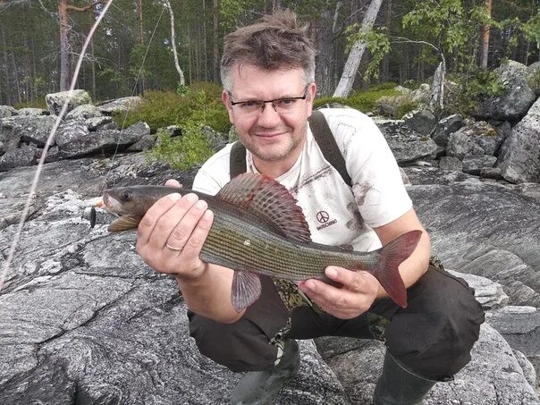 Карелия на что ловить Рыбалка Хариус Новый Софпорог Fish Search