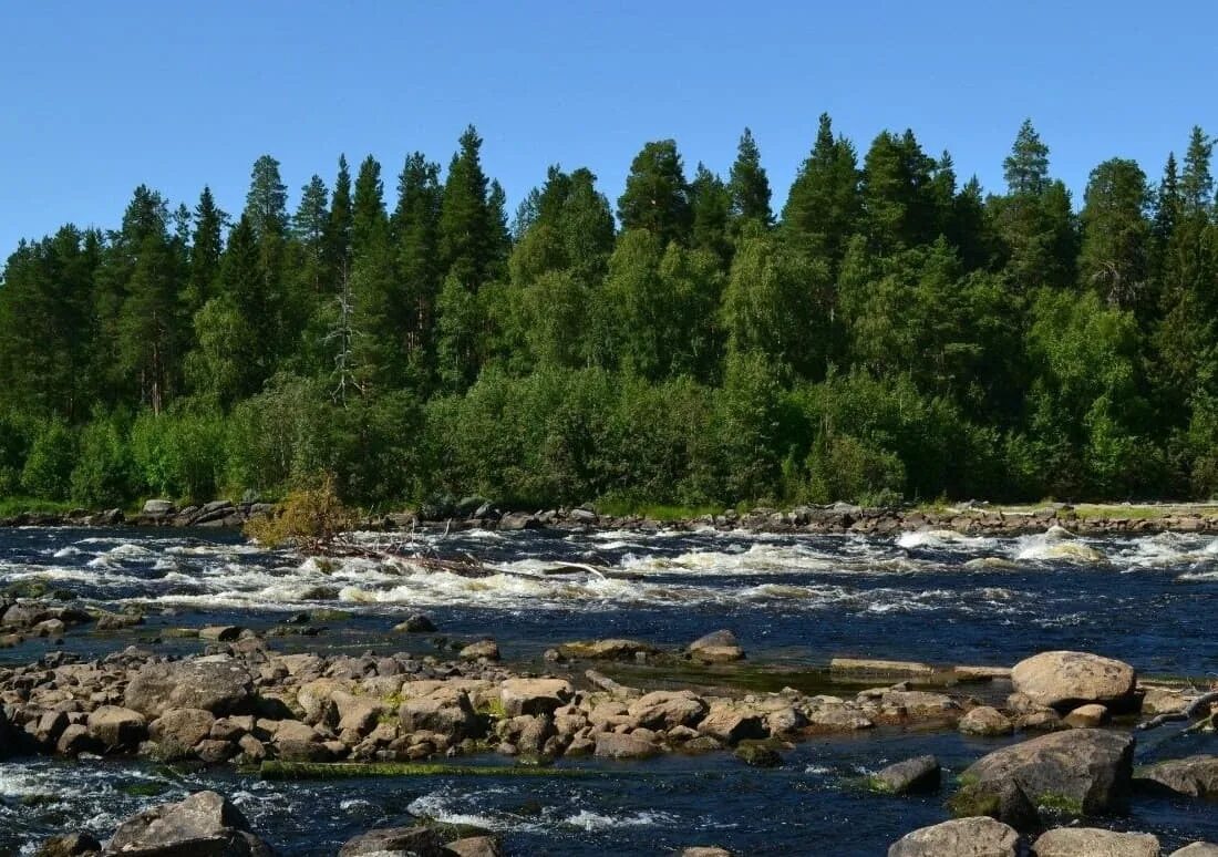 Карелия сегодня фото Река Кемь - карта где находится, притоки, бассейн реки, сплав и рыбалка