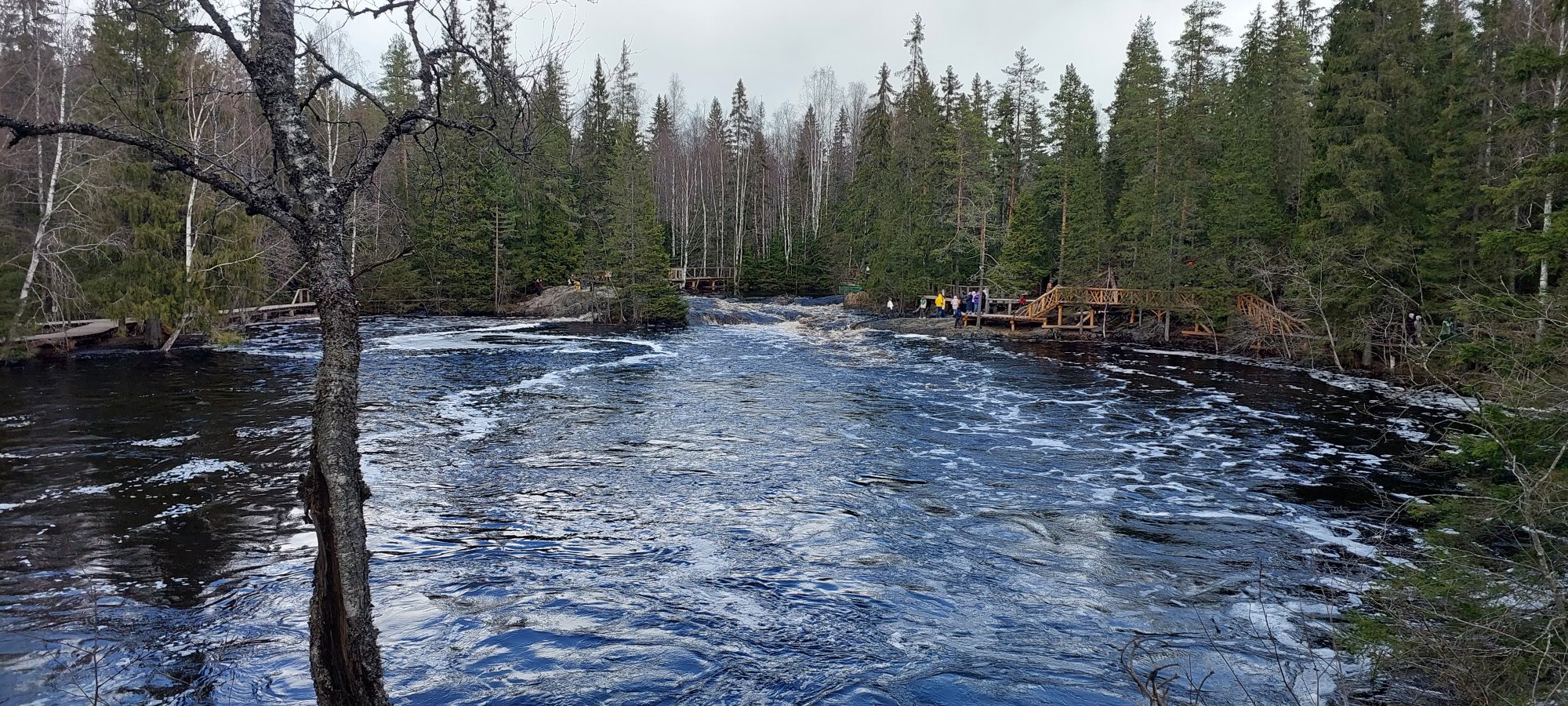 Карелия сегодня фото Республика Карелия, Россия: отзывы туристов о Республике Карелия 2024