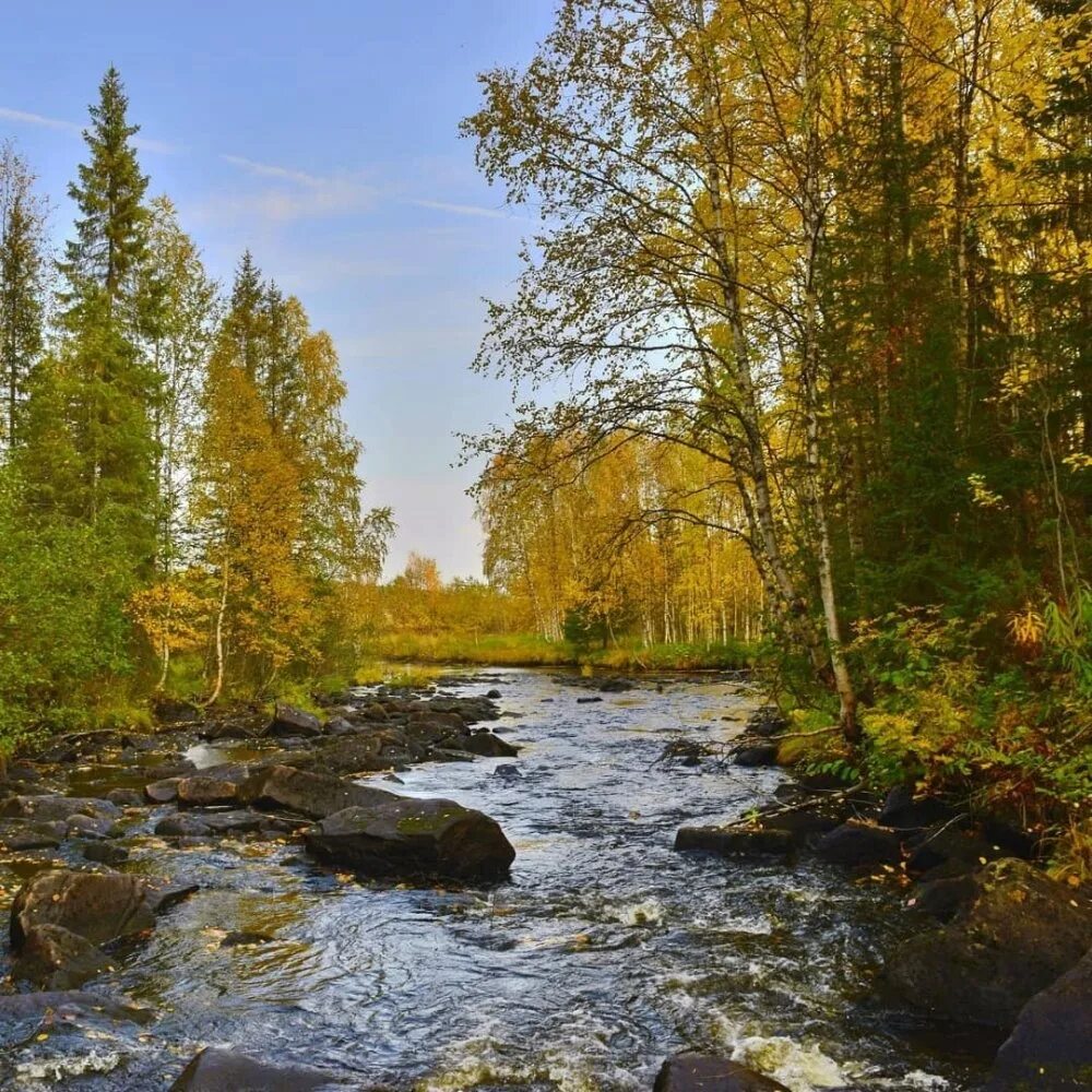 Карелия сентябрь фото The river Okhta, Karelia. #Россия #реки #природа 2023 Географ в кресле VK