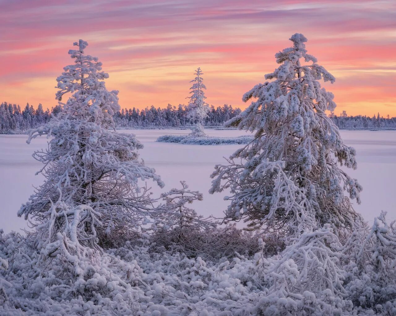 Карелия зимой фото природы Ноябрьские сумерки где-то на болотах в Карелии. Photographer Dmitry Medyancev