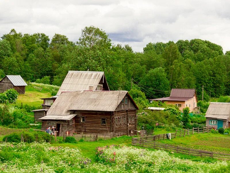 Карельские деревни фото Пряжинский район - travel-for-life.RU